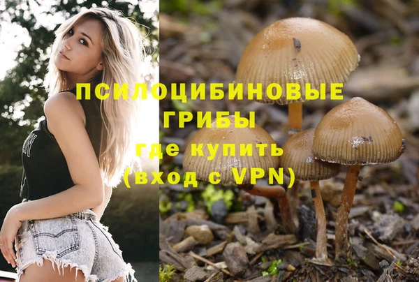 2c-b Белокуриха