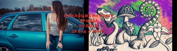 PSILOCYBIN Беломорск