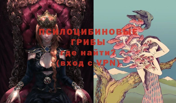 spice Белоозёрский