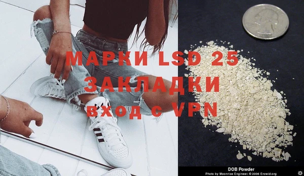 PSILOCYBIN Беломорск
