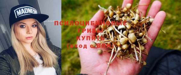 spice Белоозёрский