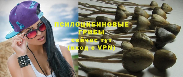 PSILOCYBIN Беломорск